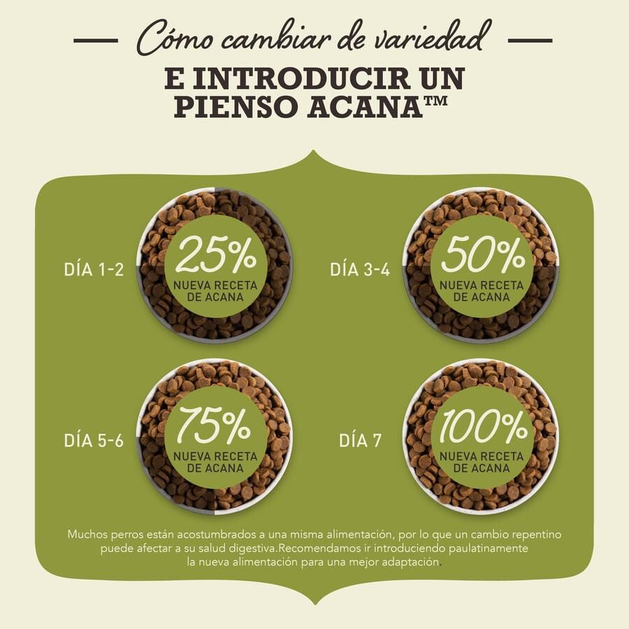 6 kg Acana Adult ra&ccedil;&atilde;o para c&atilde;es, , large Imagem n&uacute;mero 8