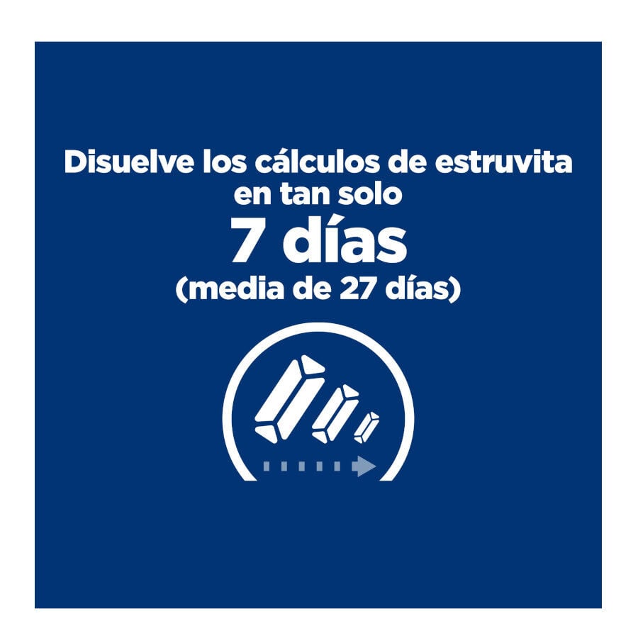 12 saquetas x 85 g Hill's Prescription Diet Urinary Care Frango saqueta para gatos, , large Imagem n&uacute;mero 14