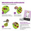 Outward Hound Catstages Puzzle & Play Buggin’ Out Brinquedo de Inteligência para gatos, , large Indicador imagem número 2