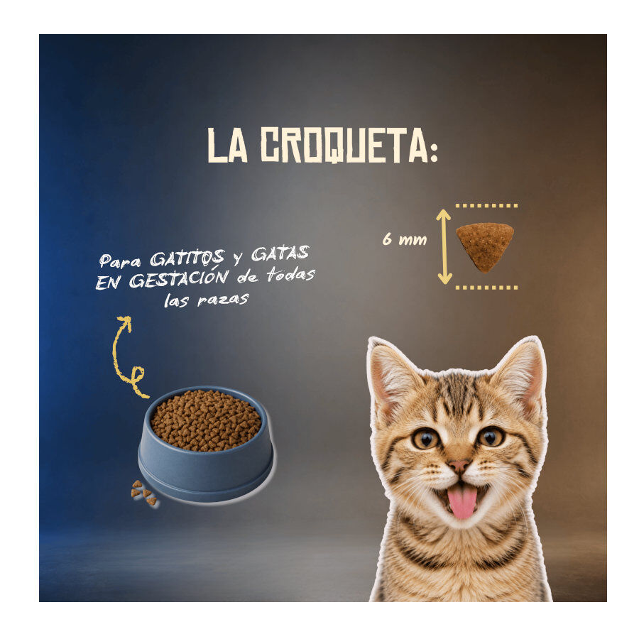 2 Kg Lenda Grain Free Kitten Ra&ccedil;&atilde;o de Coelho, Porco e Atum para gatos, , large Imagem n&uacute;mero 6