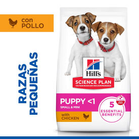 Hill's Puppy Smal y Mini Science Plan Frango ração