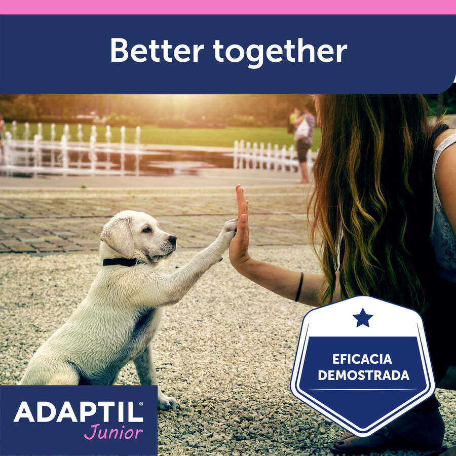 Adaptil Junior Coleira Anti-stress para c&atilde;es, , large Imagem n&uacute;mero 9