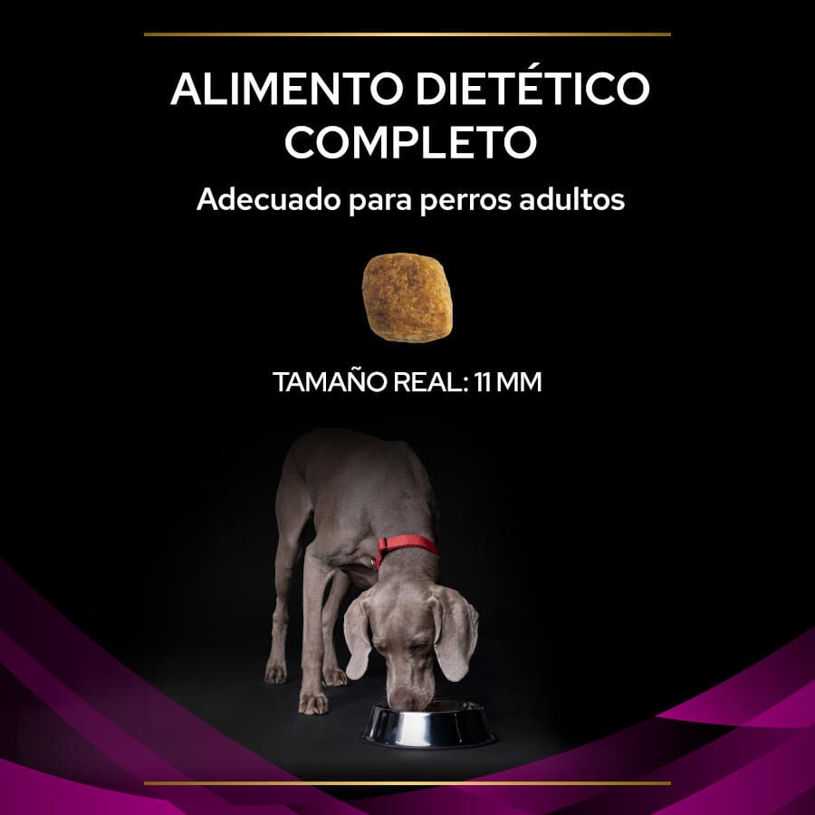12 kg Pro Plan Veterinary Diets Urinary UR ra&ccedil;&atilde;o para c&atilde;es, , large Imagem n&uacute;mero 3
