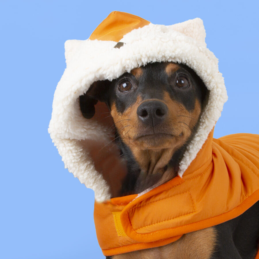 Outech Fox Casaco para c&atilde;es, , large Imagem n&uacute;mero 2