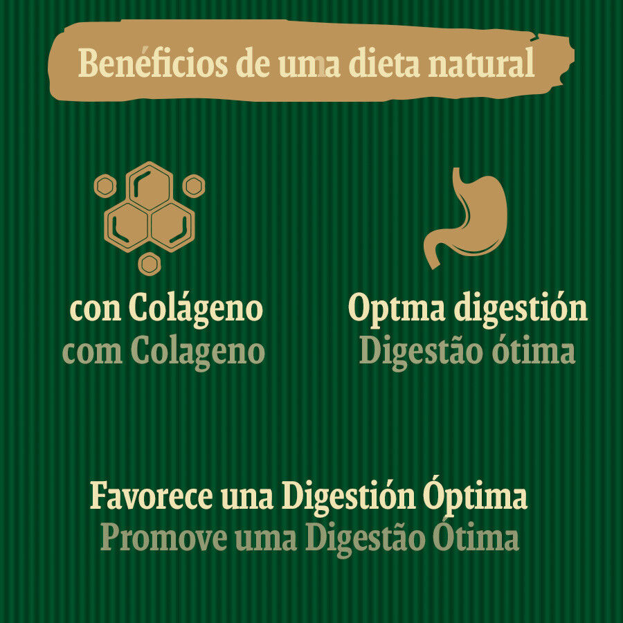 1 ud. True Origins Digestion Chewing Sticks Snack para perros, , large Imagem n&uacute;mero 5
