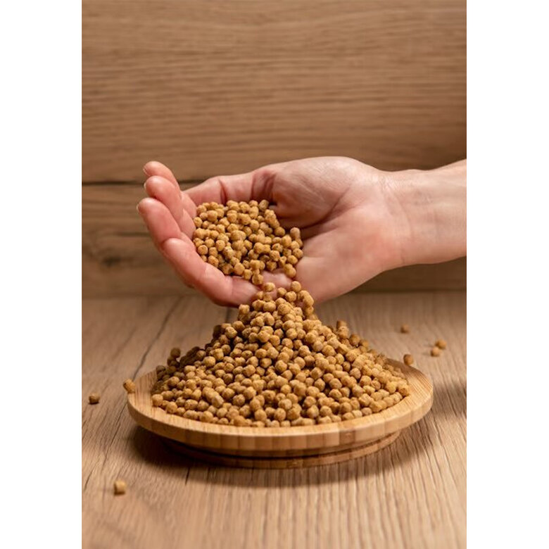 Psittacus Mini ração para pássaros pequenos,  Imagem número 3 Psittacus Mini ração para pássaros pequenos, , large Imagem número 3