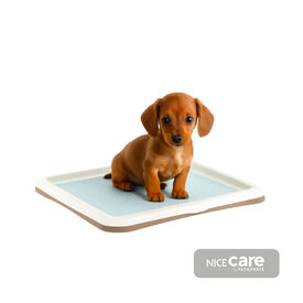 Nice Care Tabuleiro higiénico Gastone Azul para cães