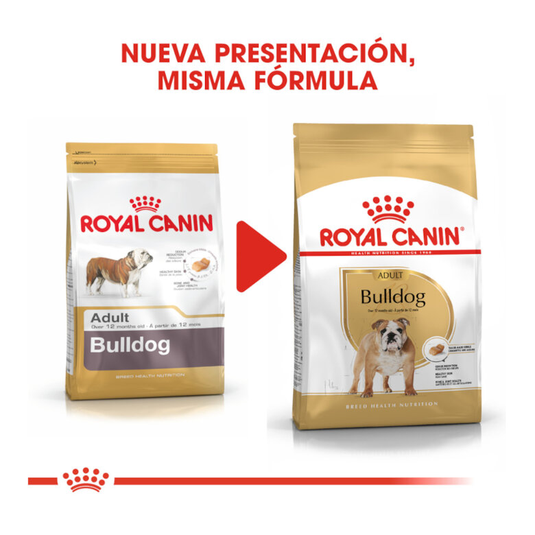 Royal Canin Adult Bulldog ração para cães, , large image number null
