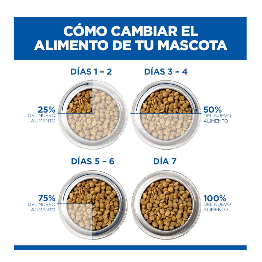 85 g Hill's Kitten Science Plan Peixe Azul saqueta em molho, , large Imagem n&uacute;mero 9