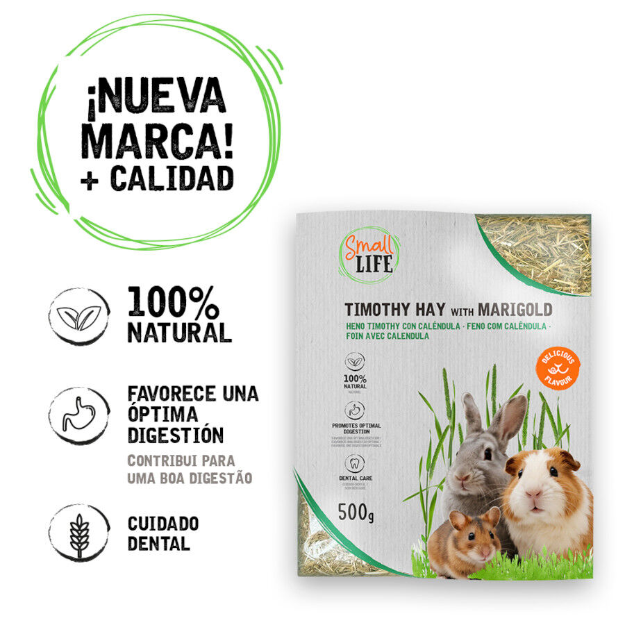 Small Life Feno Timothy com Cal&ecirc;ndula para roedores, , large Imagem n&uacute;mero 2