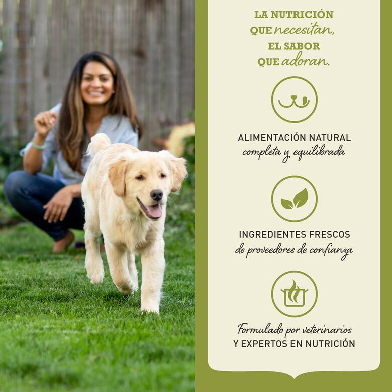 6 kg Acana Adult Small Breed ração para cães,  Imagem número 6 6 kg Acana Adult Small Breed ração para cães, , large Imagem número 6