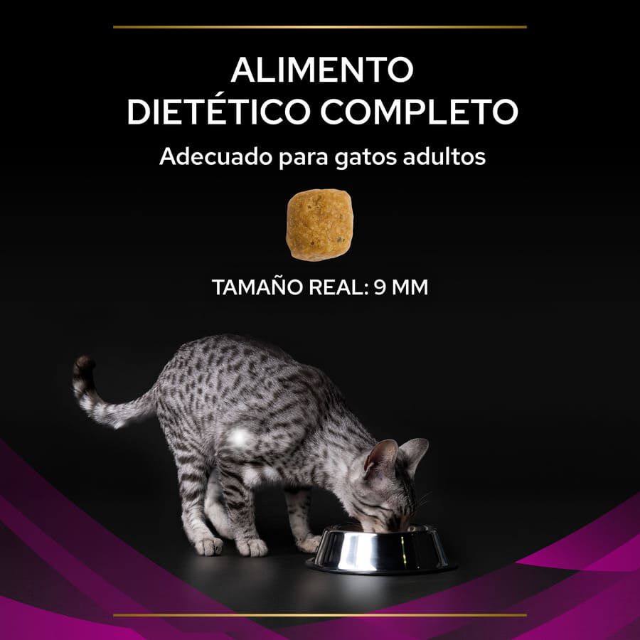 5 kg Pro Plan Veterinary Diets Urinary UR ra&ccedil;&atilde;o para gatos, , large Imagem n&uacute;mero 3
