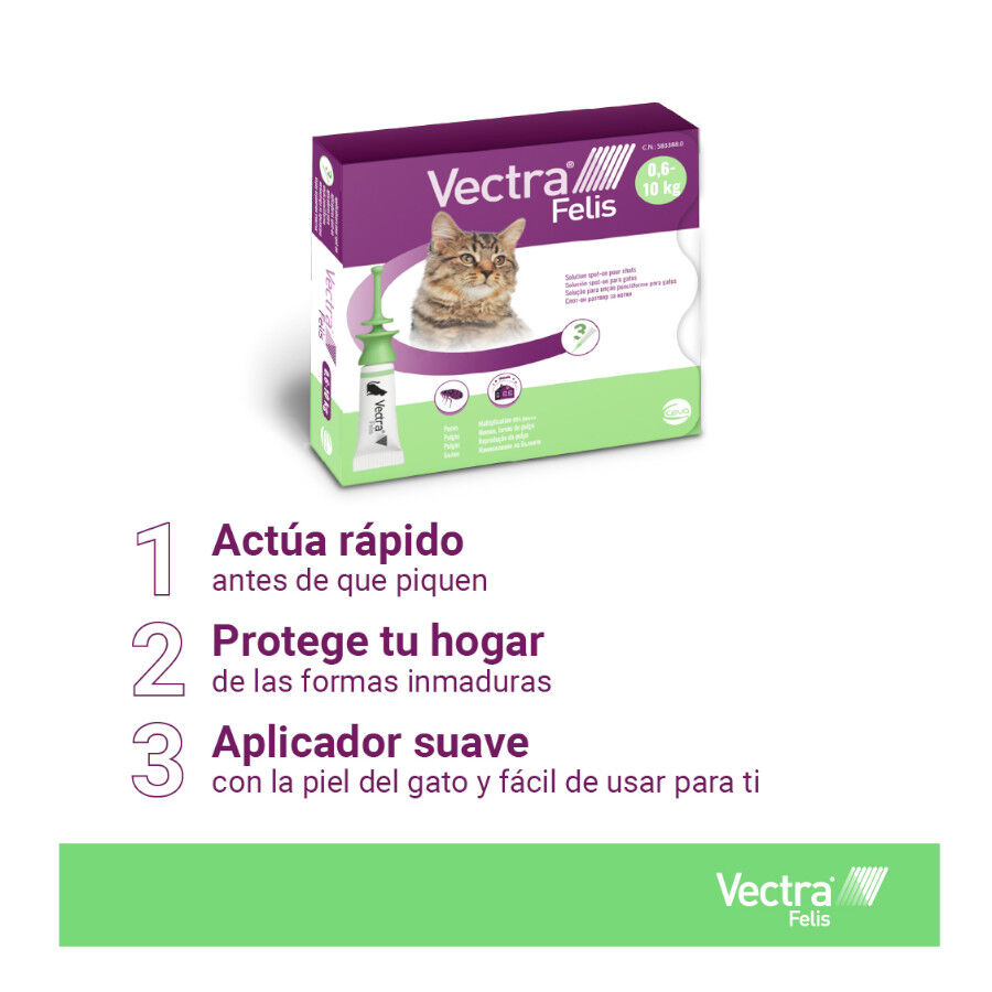 Vectra Felis Pipetas Antiparasit&aacute;rias para gatos - Pack 3, , large Imagem n&uacute;mero 5