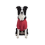 Gotoo Casaco Imperme&aacute;vel Refletor Vermelho para c&atilde;es, , large Indicador imagem n&uacute;mero 7