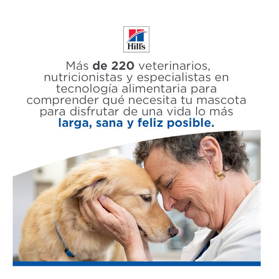 85 g Hill's Science Plan Adult Vitela Saqueta em Molho para gatos, , large Imagem n&uacute;mero 10