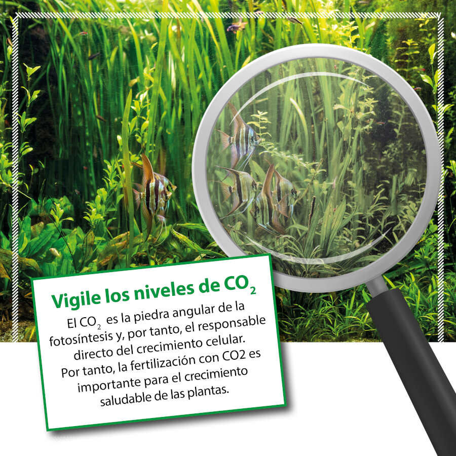 Microbe-Lift Bio CO2 Fertilizante l&iacute;quido de carbono para aqu&aacute;rios, , large Imagem n&uacute;mero 3