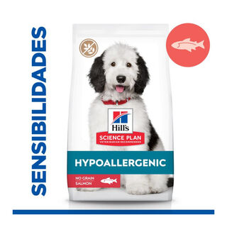 Hill's Science Plan Hipoalergénico Large Salmão ração para cães