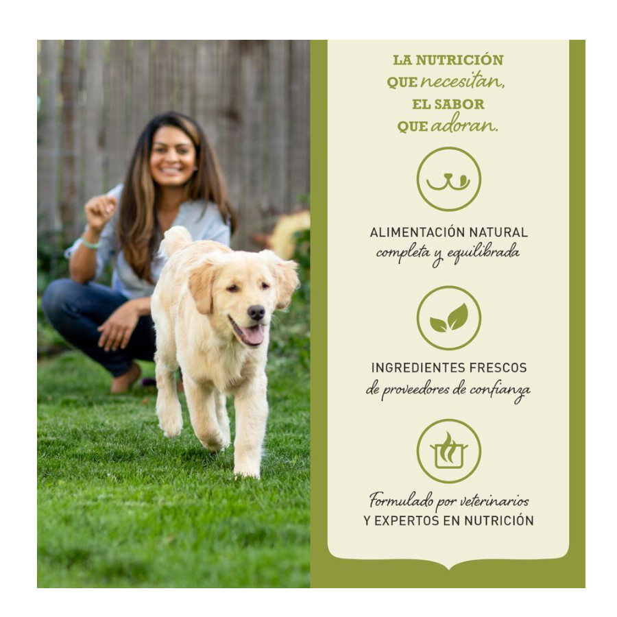 17 kg Acana Puppy Large Breed ra&ccedil;&atilde;o para c&atilde;es, , large Imagem n&uacute;mero 6