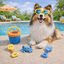 Summer Vibes Beach Set x4 Kit de Brinquedos para c&atilde;es, , large Indicador imagem n&uacute;mero 1