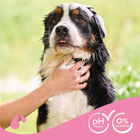 Beaphar Pelo Comprido Champô para cães, , large image number null