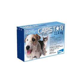Antipulgas de ação rápida Capstar de Novartis para cães