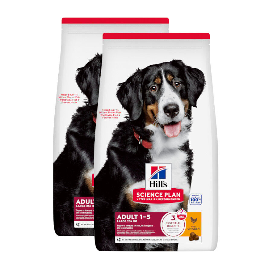 2 x 18 kg (15 + 3 kg gr&aacute;tis!) Hill's Science Plan Large Adult Frango ra&ccedil;&atilde;o para c&atilde;es Pack poupan&ccedil;a!, , large Imagem n&uacute;mero 1