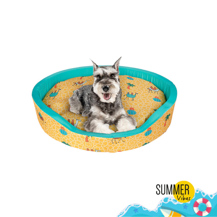 Cama de cachorro refrescante Summer Vibes Camel Fresh, , large Imagem n&uacute;mero 2