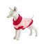 Freedog Elsinor Camisola para cães, , large Indicador imagem número 4