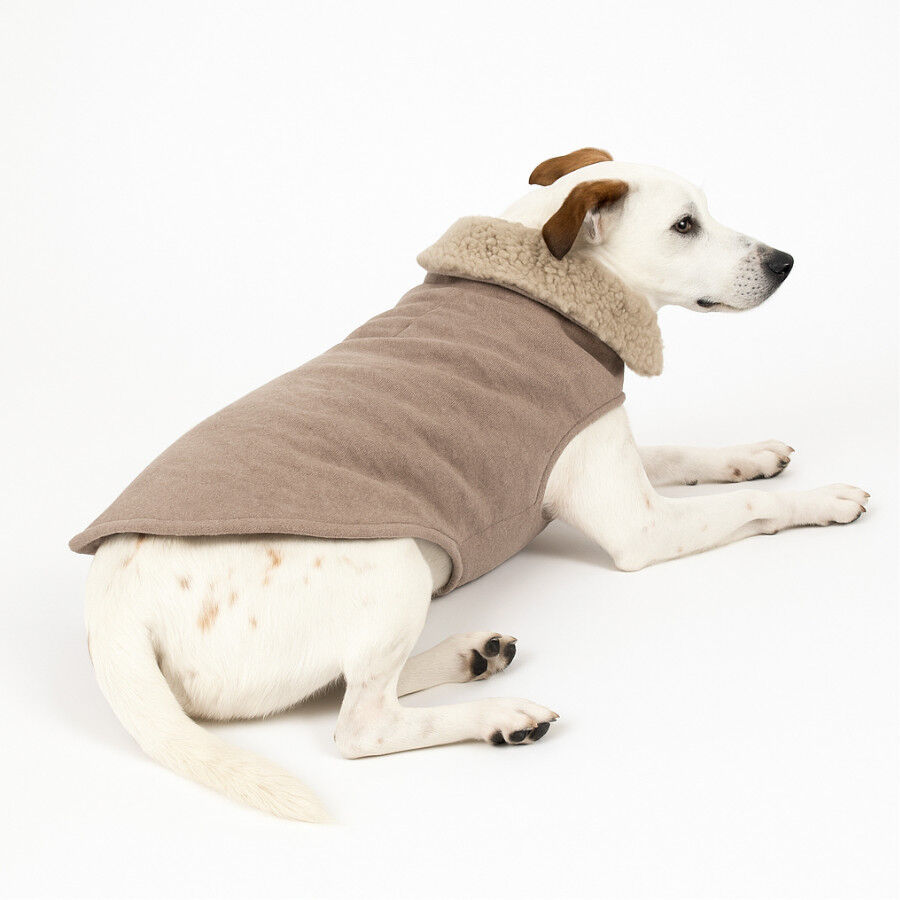 Outech Casaco Castanho em Borrego para c&atilde;es, , large Imagem n&uacute;mero 3