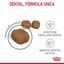 8 kg Royal Canin Adult Oral ração para gatos, , large Indicador imagem número 5