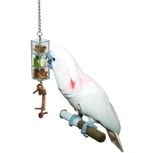 Sunparrots cubos portagolosinas para loros Imagem n&uacute;mero 1