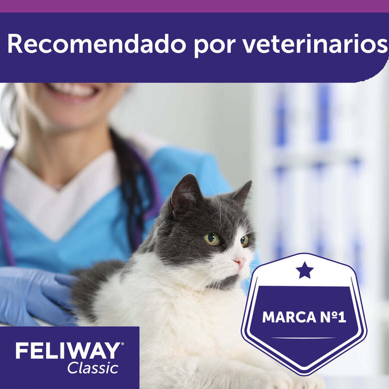 Feliway Classic Difusor e Recarga calmante para Gatos,  Imagem número 9 Feliway Classic Difusor e Recarga calmante para Gatos, , large Imagem número 9