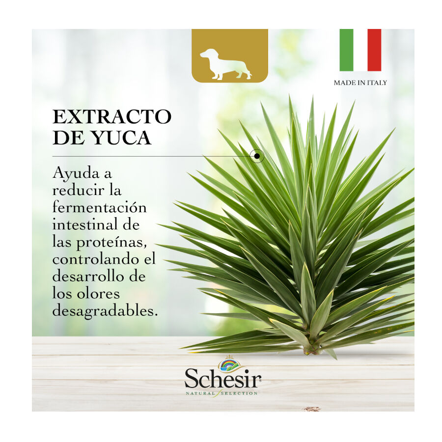 2.24 kg Schesir Adult Small & Toy Natural Selection Ra&ccedil;&atilde;o de peru para c&atilde;es, , large Imagem n&uacute;mero 7