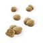 40 g Dentalife Snack Dentários Frango para gatos, , large Indicador imagem número 3