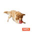 Tootoy! Chase Bola Hexahole m&eacute;dia para c&atilde;es, , large Indicador imagem n&uacute;mero 7