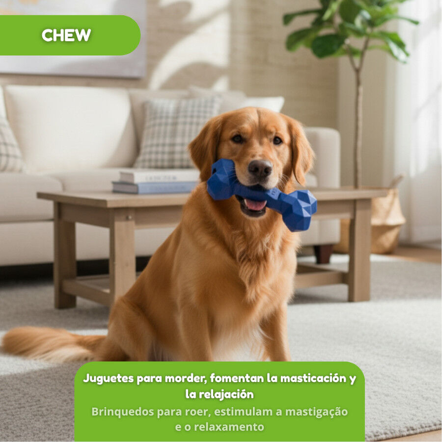 Tootoy! Chew Mordedor osso de borracha grande para c&atilde;es, , large Imagem n&uacute;mero 5