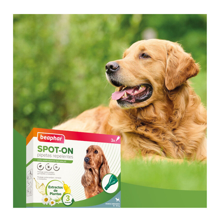 Beaphar Pipetas Repelentes para c&atilde;es, , large Imagem n&uacute;mero 8