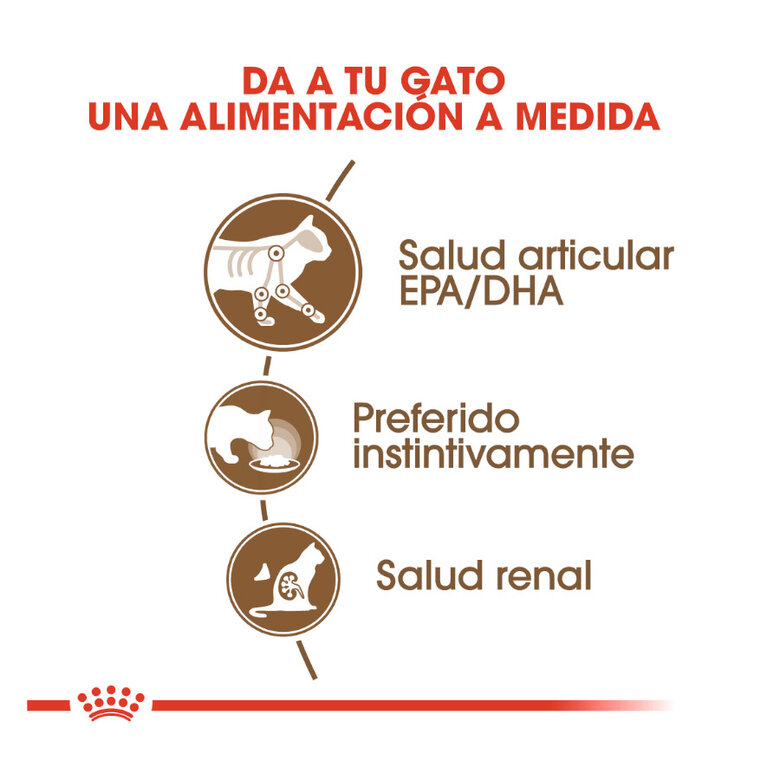 85 g Royal Canin Ageing 12+ alimento húmido com molho em saquetas para gatos,  Imagem número 5 85 g Royal Canin Ageing 12+ alimento húmido com molho em saquetas para gatos, , large Imagem número 5