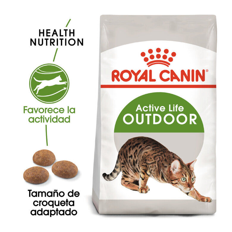 10 kg Royal Canin Active Life Outdoor Ra&ccedil;&atilde;o para gatos, , large Imagem n&uacute;mero 2