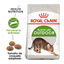 10 kg Royal Canin Active Life Outdoor pienso para gatos, , large Indicador imagem número 2