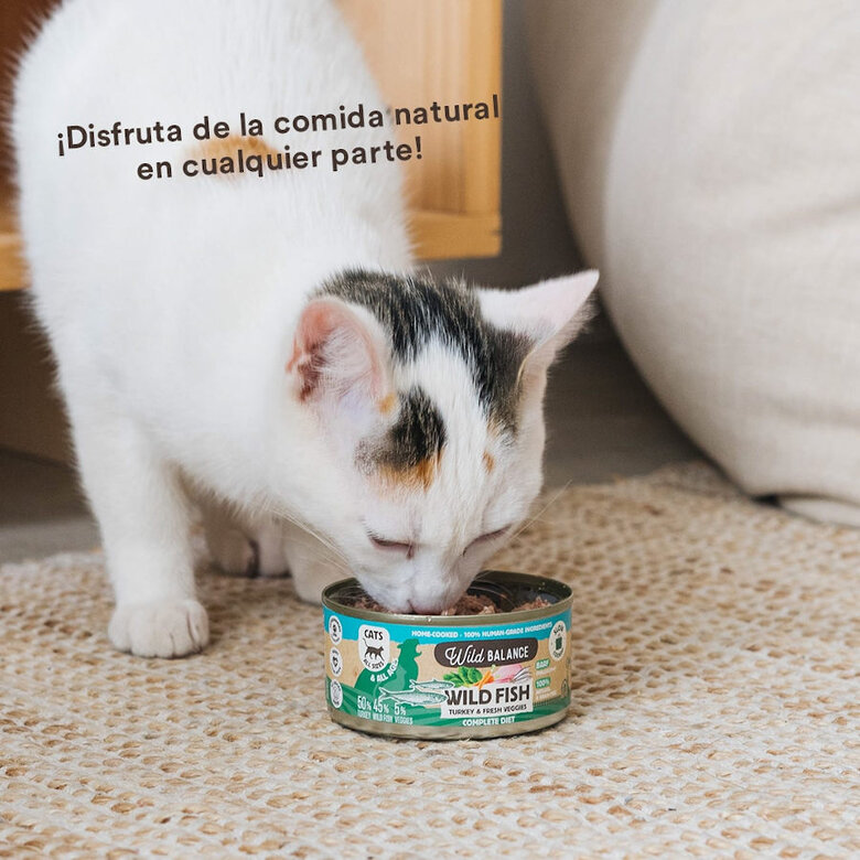 120 g Wild Balance BARF Alimento húmido de peixe e peru em lata para gatos,  Imagem número 5 120 g Wild Balance BARF Alimento húmido de peixe e peru em lata para gatos, , large Imagem número 5