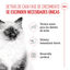 85 g Royal Canin Kitten alimento húmido em gelatina saquetas para gatinhos, , large Indicador imagem número 3