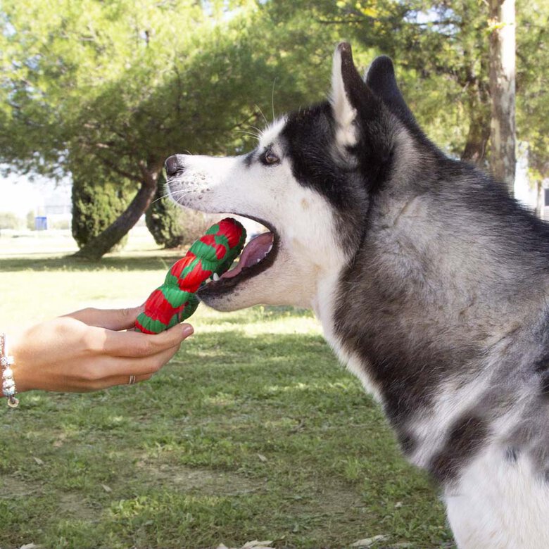Wonder Christmas Aro Mordedor de Natal para cães,  Imagem número 2 Wonder Christmas Aro Mordedor de Natal para cães, , large Imagem número 2