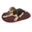TK-Pet Cobertura Castanha para cães, , large Indicador imagem número 1