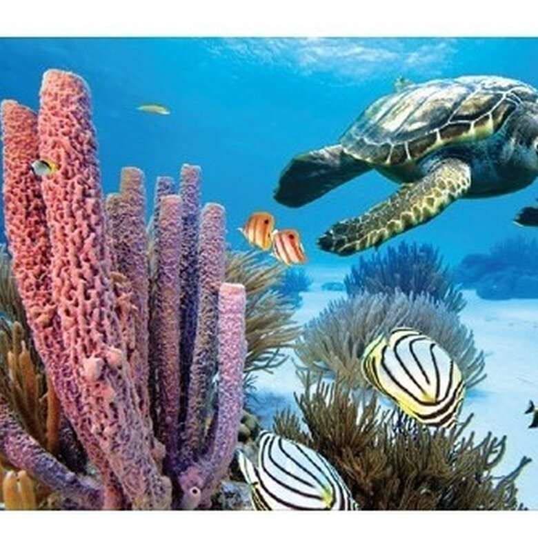 Penn Plax fondo marino fondo para acuarios en 3D image number null
