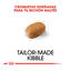 1.5 kg Royal Canin Adult Bichón Maltês ração para cães , , large Indicador imagem número 5