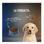 10 kg Lenda Grain Free Puppy Ra&ccedil;&atilde;o de Coelho para c&atilde;es, , large Indicador imagem n&uacute;mero 7