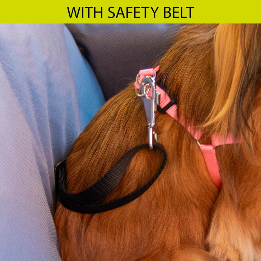 Ferplast Cruiser Castanho  Bolsa de Transporte para c&atilde;es, , large Imagem n&uacute;mero 10