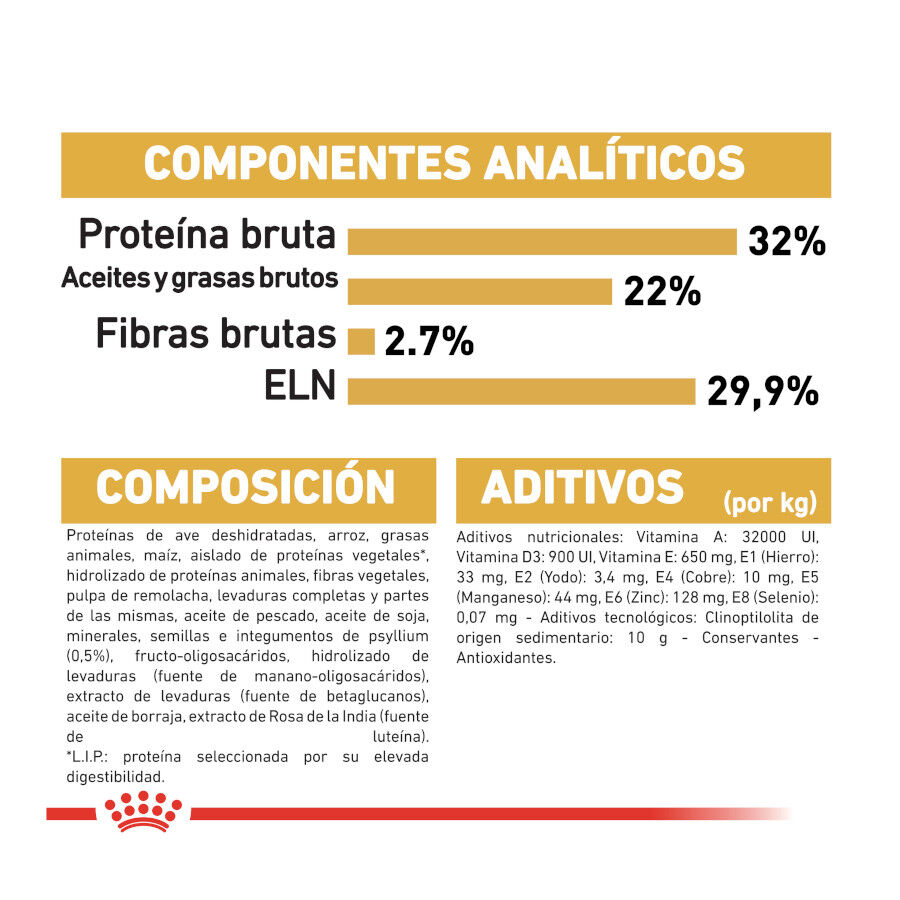 10 kg Royal Canin Kitten Persa ra&ccedil;&atilde;o para gatinhos, , large Imagem n&uacute;mero 8