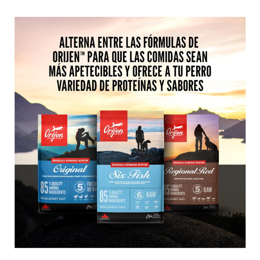 11 kg Orijen Six Fish Adult ra&ccedil;&atilde;o para c&atilde;es, , large Imagem n&uacute;mero 7